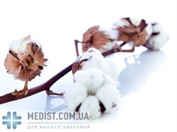 23% ХЛОПОК Компрессионные чулки ДЛЯ СТАНДАРТНОГО И ШИРОКОГО БЕДРА Lastofa Cotton от Ofa Bamberg 2 класс компрессии с открытым носком ДЛЯ ЖЕНЩИН И МУЖЧИН