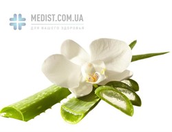 ЖЕНСКИЕ компрессионные гольфы ДЛЯ СУХОЙ КОЖИ Memory Aloe Vera Ofa Bamberg 2 класс компрессии с закрытым носком