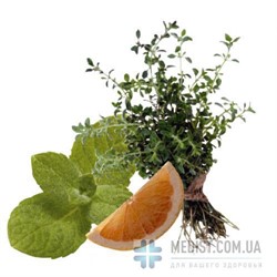 ЖЕНСКИЕ компрессионные чулки Aries Avicenum 140 1 класс компрессии с закрытым носком и КРУЖЕВНОЙ РЕЗИНКОЙ