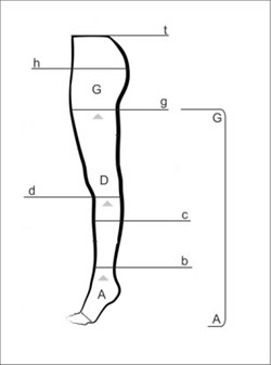 Размерная схема КОЛГОТЫ Бельсана Размерная схема КОЛГОТЫ Бельсана