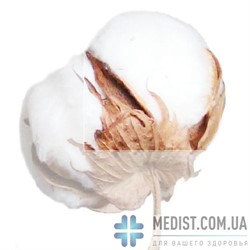 ХЛОПОК Компрессионные чулки Venotonia Cotton ДЛЯ СТАНДАРТНОГО И ШИРОКОГО БЕДРА 2 класс компрессии с открытым носком ДЛЯ ЖЕНЩИН И МУЖЧИН цвет карамель