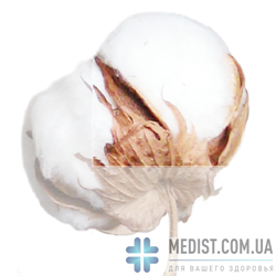 65% ХЛОПОК компрессионный рукав Стоп-Слайд Комфорт С ПОЛУПЕРЧАТКОЙ Relaxsan Medicale Cotton 2 класс компрессии для женщин и мужчин - цвет телесный 65% ХЛОПОК компрессионный рукав Стоп-Слайд Комфорт С ПОЛУПЕРЧАТКОЙ Relaxsan Medicale Cotton 2 класс компрессии для женщин и мужчин - цвет телесный