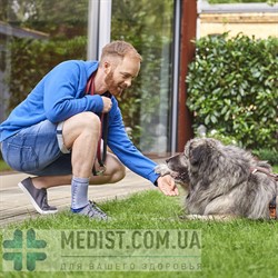 Динамический бандаж Bauerfeind GenuTrain AchilloTrain Pro с высокой фрикционной вставкой - для лечения заболеваний Ахиллова сухожилия для женщин и мужчин