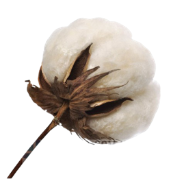 ЖЕНСКИЕ трусы медицинские эластичные послеродовые Tonus Elast 0105 Эвита, размер 1, черные - фото 28150