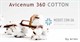 60% ХЛОПОК ЖЕНСКИЕ компрессионные чулки Aries Avicenum 360 2 класс компрессии с открытым носком и КРУЖЕВНОЙ РЕЗИНКОЙ 60% ХЛОПОК ЖЕНСКИЕ компрессионные чулки Aries Avicenum 360 2 класс компрессии с открытым носком и КРУЖЕВНОЙ РЕЗИНКОЙ